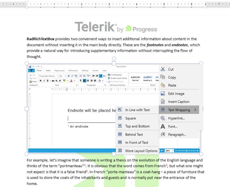 Telerik Words Processing Library 商品画像