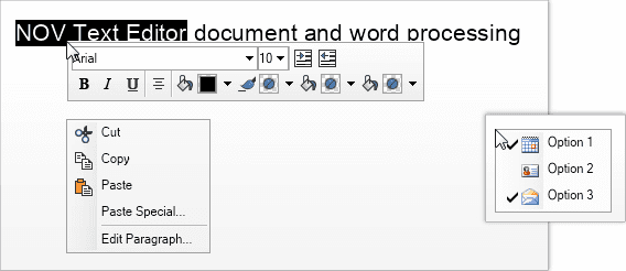 Nevron Open Vision for .NET（英語版） 商品画像