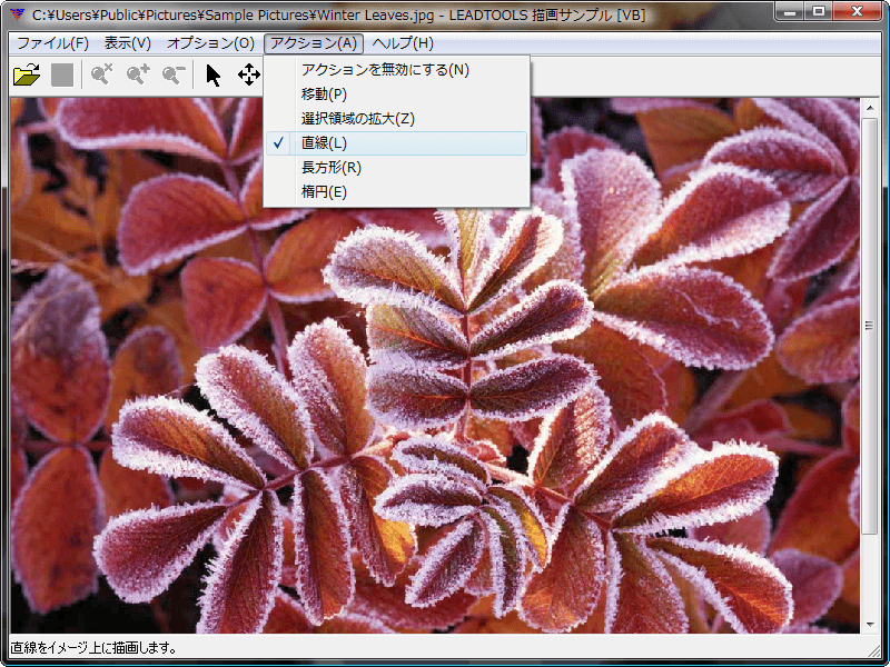 LEADTOOLS Imaging Pro（日本語版） 商品画像
