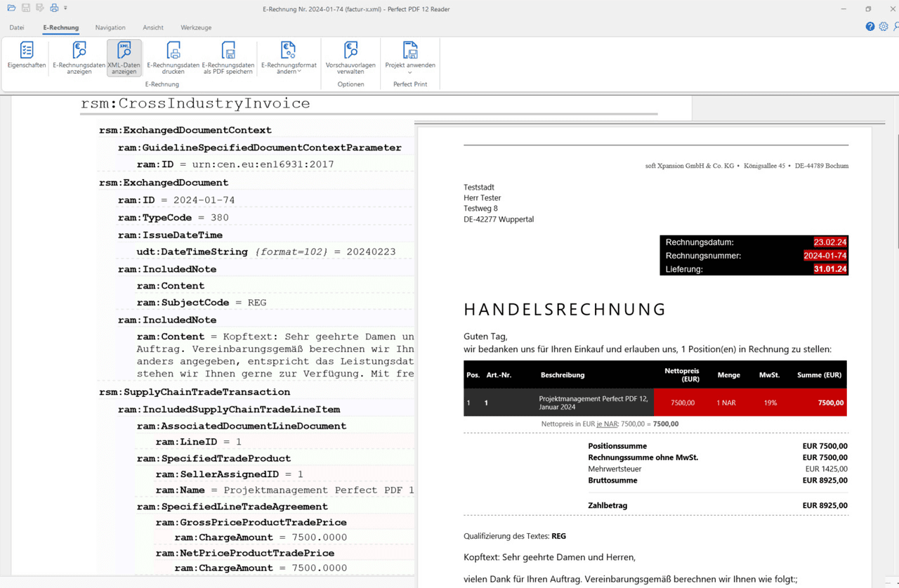 PDF Xpansion SDK - E-Invoicing (Receipt Plus) 商品画像