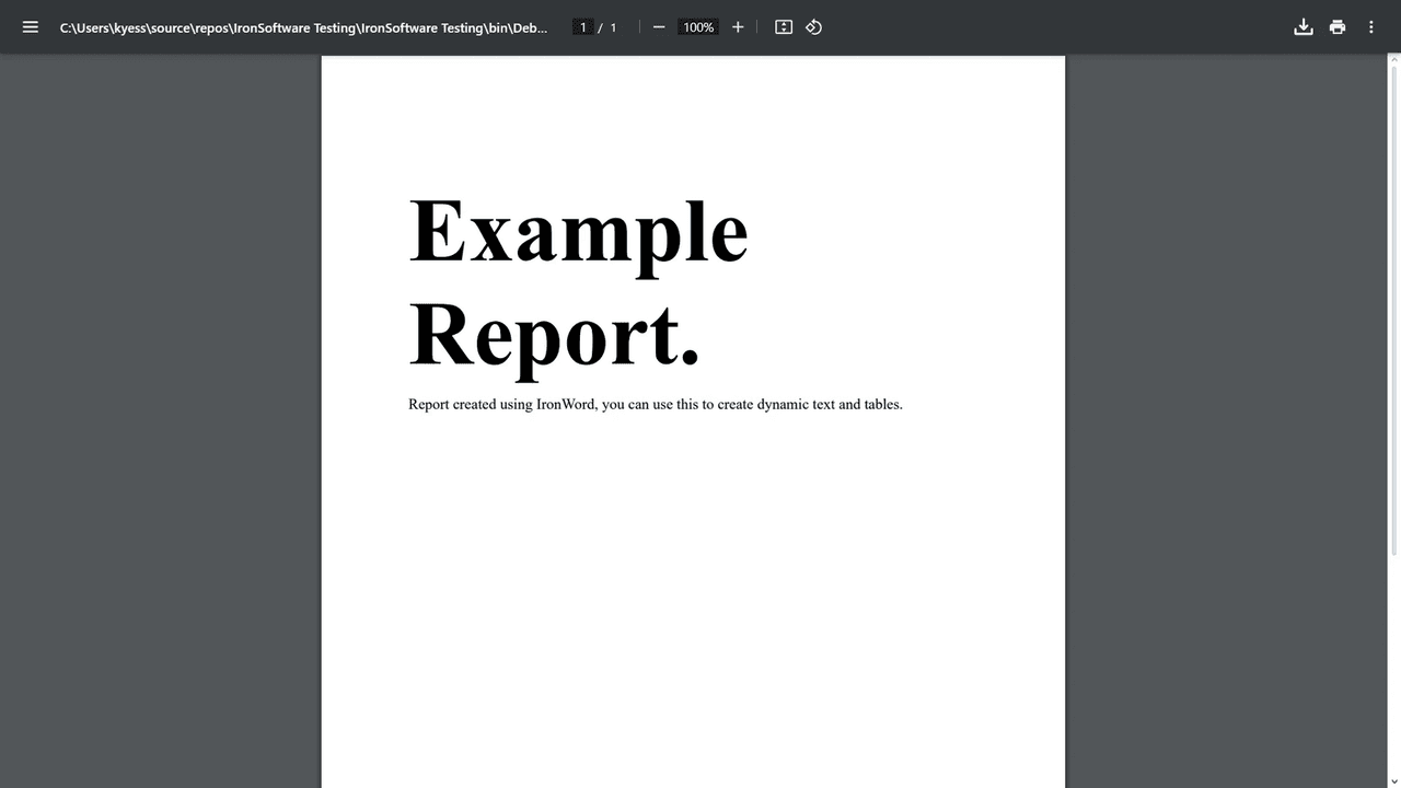 IronWord for .NET（英語版） 商品画像