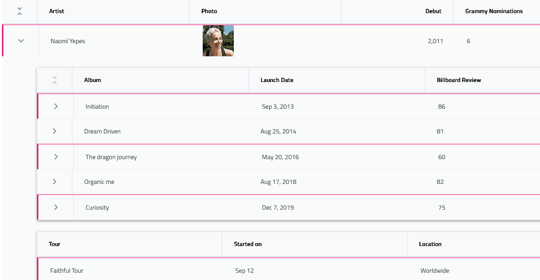 Infragistics Ignite UI for React Hierarchical Grid 商品画像 Infragistics Ignite UI for React Hierarchical Grid 商品画像