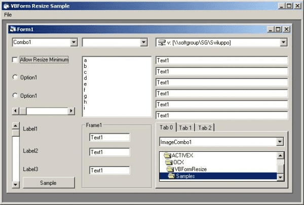 Softgroup VB Forms Resize（英語版） 商品画像