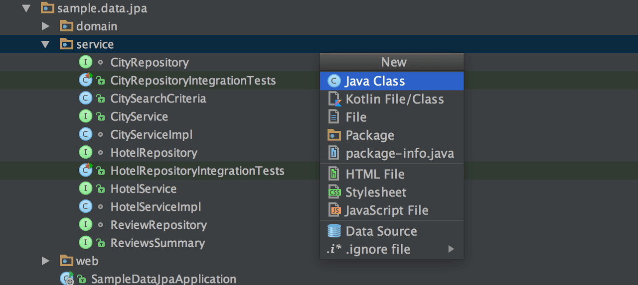 IntelliJ IDEA（日本語版） 商品画像