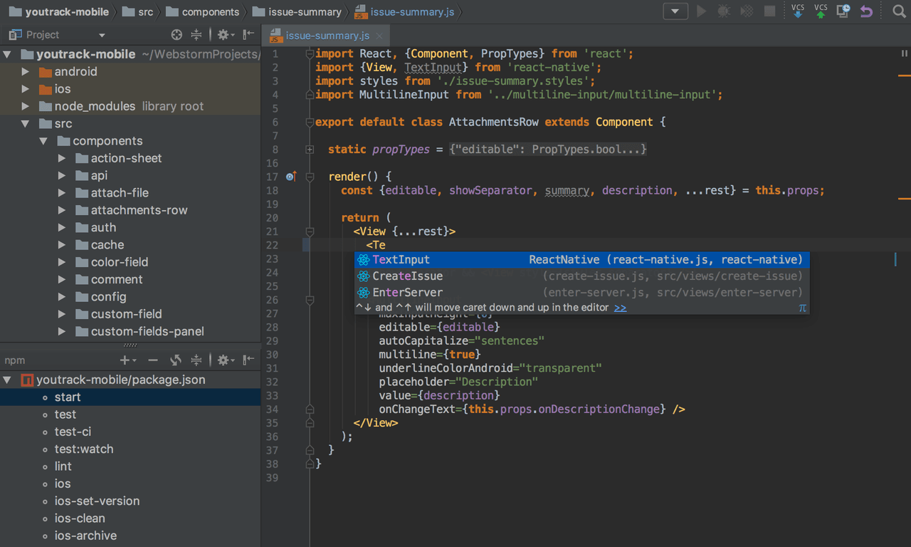 WebStorm（日本語版） 商品画像