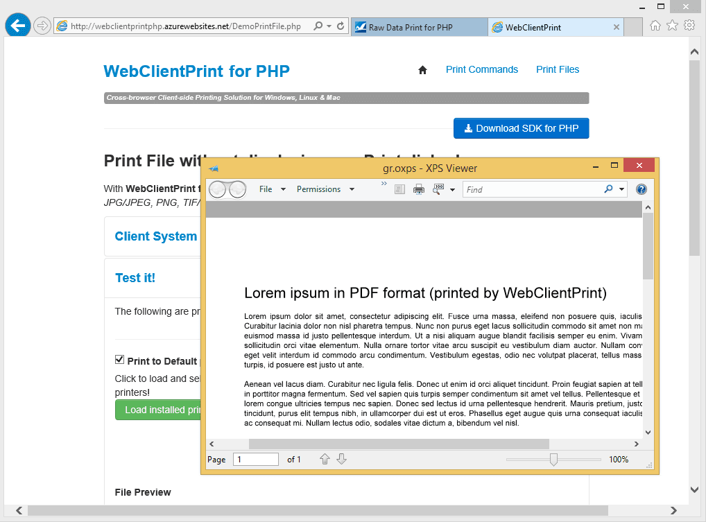 Neodynamic WebClientPrint for PHP（英語版） 商品画像