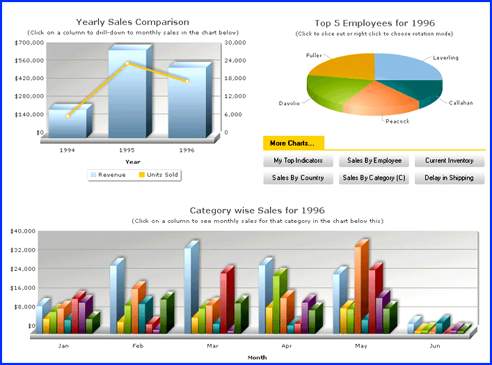 FusionCharts XT 商品画像